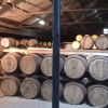 Auchentoshan Whisky Distillery