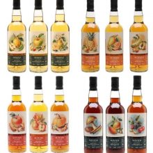 The Seasons Set / The Whisky Exchange / 12 Bottles Single Whisky |