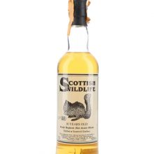 Strathmill 10 Year Old / Bot.1990s Speyside Single Malt Scotch Whisky |
