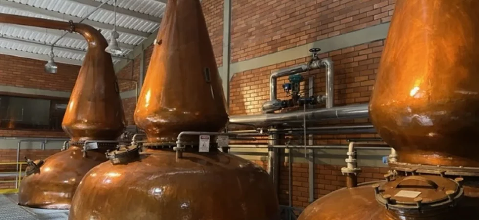 Union Distillery Brazil, the copper stills in the still house